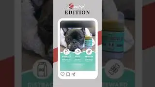 Organic Natural paw and nose Nourishing Moisturizing Repairing