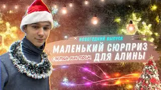 МАЛЕНЬКИЙ СЮРПРИЗ ДЛЯ АЛИНЫ. НОВОГОДНИЙ ВЫПУСК 🎄🎉