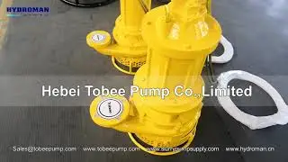 Hydroman&trade;   Electric Submersible Agitator Sand Pump