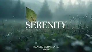 Peaceful Relaxing Guitar Music | Work Study Focus | 1 Hour