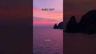 LIFE FACT ☘️ #life #lifefacts #motivation #heartbroken #beautiful #nature #facts #relatable #shorts