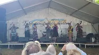 Grandma's Herbal Cureall. Live Tablelands Folk Festival 2022