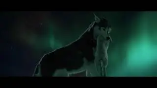 BALTO/BUCK & STEELE/SPITZ FIGHT FOR LEADERSHIP