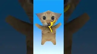 SWIPE SWIPE!!! #animation #3danimation #cat #lowpoly