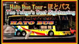 Hato 🕊 Bus  | Dynamic Tokyo |Tokyo Travel | ハトバス Travel | Ghina Wedda Fujii