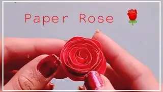 Paper Rose with paper | Different Design | Easy, Cute and Step by Step