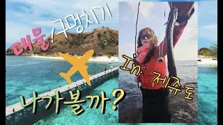 집밖으로 나가볼까? 집밖의집  / 제주도 구멍치기낚시, 대물낚시, 런닝, 방어회, 한치회 카멜리아힐