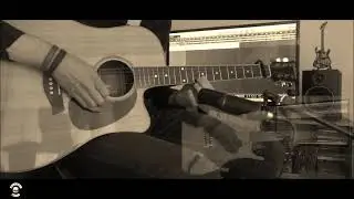 Black Label Society - Like A Bird Guitar Cover