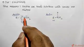 Give reasons: Amines are basic substances while amides are neutral.  | 12 | AMINES | CHEMISTRY |...