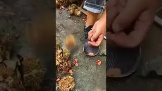 Short#viral#shorts video#khansa sahar