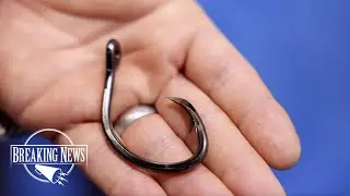 ICAST 2022 - Eagle Claw