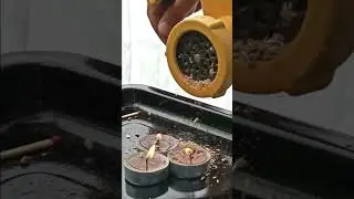 🧨Эксперимент со взрывной спичкой: измельчение и сжигание спичек в мясорубке