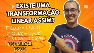 TRANSFORMAÇÃO LINEAR: O QUE PRECISA PARA EXISTIR DE VERDADE?