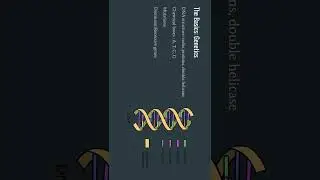 C  Roach BIO206 Online Presentation