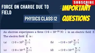 An electron experiences a force (1.6 &times; 10⁻&sup1;⁶ N) &icirc; in an electric field &rarr;E.The electric field &rarr;E is: