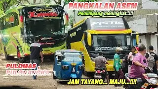 Penumpang PANGKALAN ASEM pistis mulai membludak hari ini‼️😁👏🏻+ Explore pangkalan LURAGUNG PULOMAS 😎😎