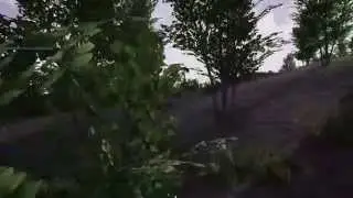 Squad Closed alpha