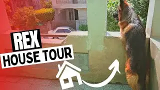 REX's House Tour