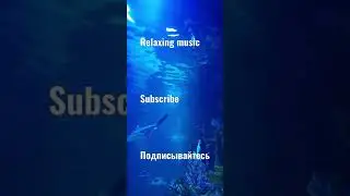#Relaxing #music #video's #Nature4k #Rain #waterfalls #Shorts #природа 4к #дождь #водопады #океан
