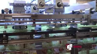 MESPACK H570 SCD   PET FOOD   MULTIWEIGHER    ZIPPER OPENER   GAS FLUSH