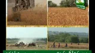 Sohni Dharti - First Agricultural TV Channel of Pakistan