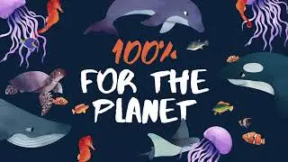 Sea Animals Climate Change Video in Blue White Illustrative Style