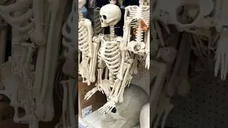 Skeleton for Halloween Decor