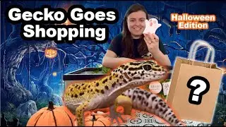 LEOPARD GECKO goes SHOPPING with me! **HALLOWEEN EDITION**