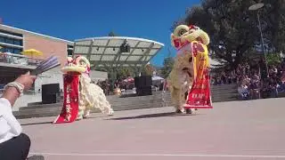 LION DANCE at CULTUREFEST !!