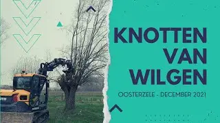 Knotten Van Wilgen