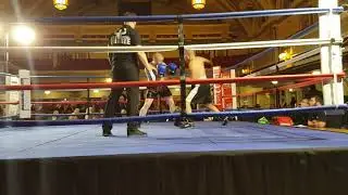 EBF. Semi pro Boxing. 04.05.2019