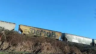 Part 2 long slow grainer graffiti