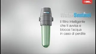 Water Sentinel GEL - Il filtro di sicurezza con sistema di controllo perdite acqua e consumi anomali