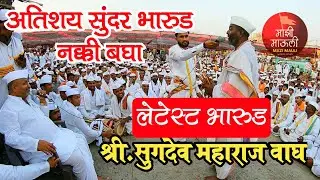 अतिशय सुंदर भारुड,सुगदेव महाराज वाघ,भारुड,Bharud,Sugadev Maharaj Wagh