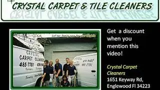 Venice Carpet cleaning Save 10 percent now 485-7781