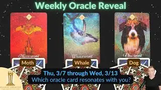 Weekly Oracle Reveal 🔮✨ | Tarot Reading for Mar 7 to Mar 13 | Elliot Oracle  🦋🐋🐕