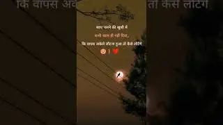 साथ चलने की खुशी में #love #shandeepmaheshwari #sad #publicspeaker #shayari #sadstatus #sonquotes