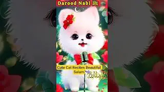 Darood Un Per ﷺ ❤️ | Cute Cat Recites Beautiful Salam 🌙 | Kids Islamic Cartoon 🐾
