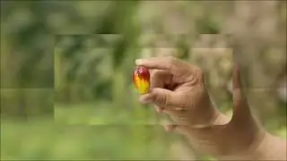 Video APSCO
