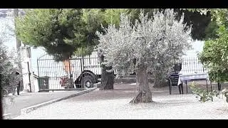1991 Mercedes Benz SK general waste collection #2