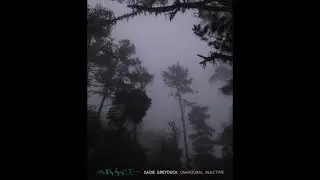 Sadie Greyduck - Unnatural Inactive (2022) 4: only one ending possible [ambient, dark ambient]