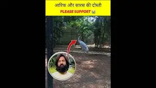 Arif ka dost Saras #newvideo #saras #saraskidosti #viral #satisfying #trending #shorts