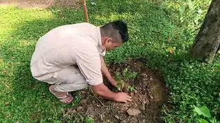 World environment day.... 5 JuN#assamesevlogs