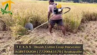 Paddy Harvesting with Brush Cutter | FieldPro