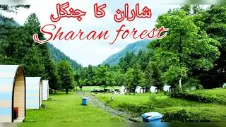 The Hidden Forest Of Sharan | Naran Kaghan Valley | Part 1