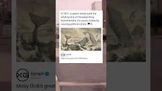 The Whale Who Assassinated a Queen 🐋💥