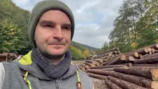 Ab jetzt wieder bergab ? Photovoltaik, S&auml;gereststoffe und Rezession