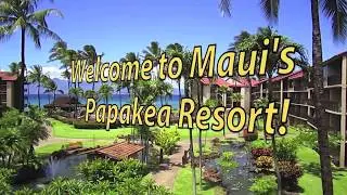 Beautiful Maui Oceanview Vacation Rental at Papakea Resort