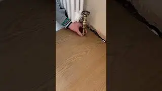 How to fit laminate flooring around a pipe #flooringexperts #diy #doityourself #flooring