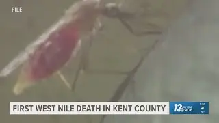Kent County Health Department: West Nile virus-related death confirmed in the county